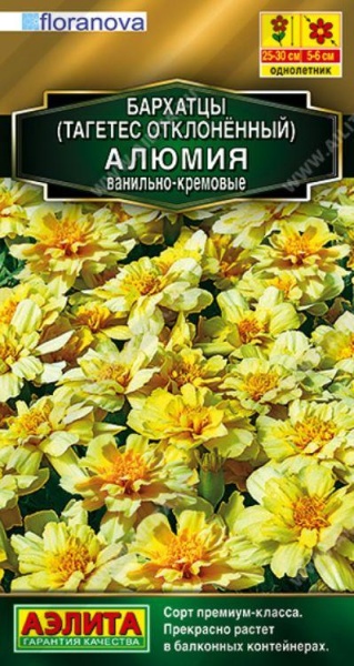 Бархатцы Алюмия ванильно-кремовые /Аэлита/ 10шт/ откл. h-30см d-6см