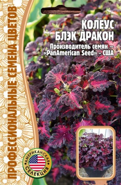 Колеус Блэк Дракон (10шт) Редкие овощи