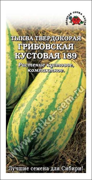 Тыква Грибовская кустовая /Сотка/ 2 г/*600
