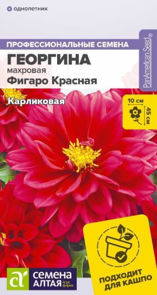 Цветы Георгина Фигаро Красная махровая/Сем Алт/цп 5 шт. (2026 / 21890)