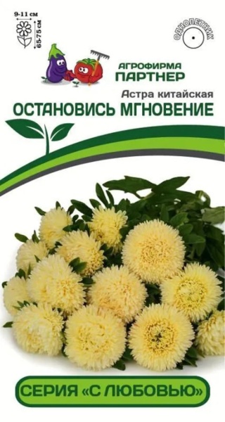 Астра китайская ОСТАНОВИСЬ МГНОВЕНИЕ л(5шт)
