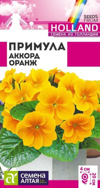 Примула Аккорд Оранж/Сем Алт/цп 5 шт двулетник Голландия НОВИНКА