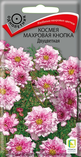 Космея Махровая Кнопка Двуцветная (0,1г) Поиск