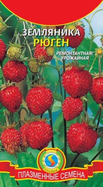 Земляника Рюген/ Плазмас/