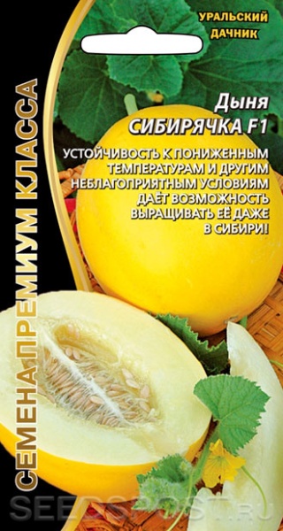 Дыня Сибирячка F1 (УД) Е/П