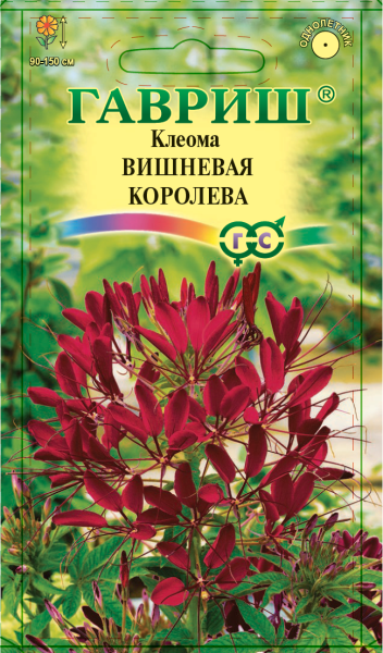 Клеома Вишневая королева /Гавриш/
