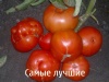  Томат Самые лучшие фото в интернет-магазине Фермер
