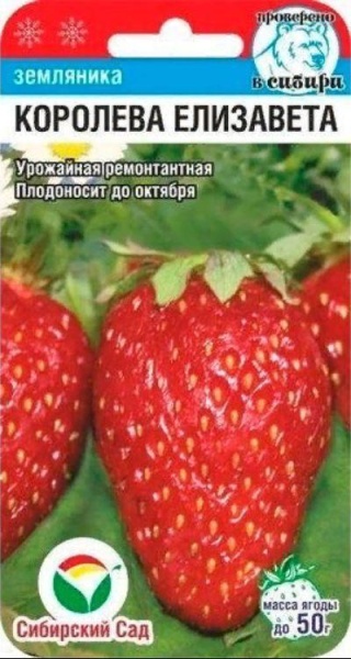 Королева Елизавета 10шт земляника (Сиб Сад)