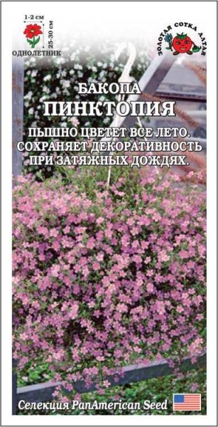 Бакопа Пинктопия /Сотка/ 3шт/ сирен. h-30см, d-2см/*500