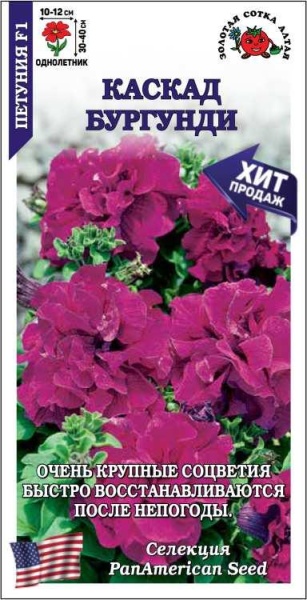 Петуния Каскад Бургунди F1 /Сотка/ 10шт/ махр. h-40см d-12см/*500