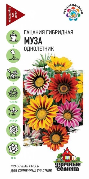 Гацания Муза смесь гибридная /Гавриш/ 0,05г/ h-20-30см d-5-6см