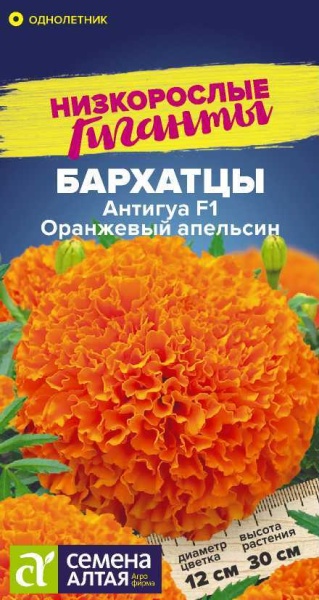 Бархатцы Антигуа F1 Оранжевый апельсин/Сем Алт/цп 5 шт. Низкорослые гиганты