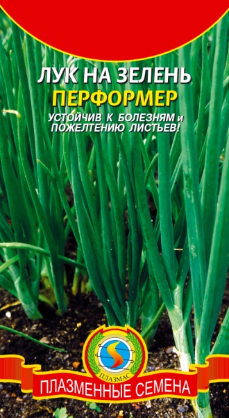 Лук на зелень Перформер