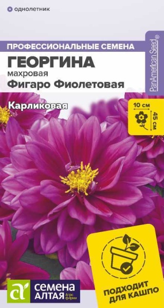 Цветы Георгина Фигаро Фиолетовая махровая/Сем Алт/цп 5 шт. (2026 / 22003)