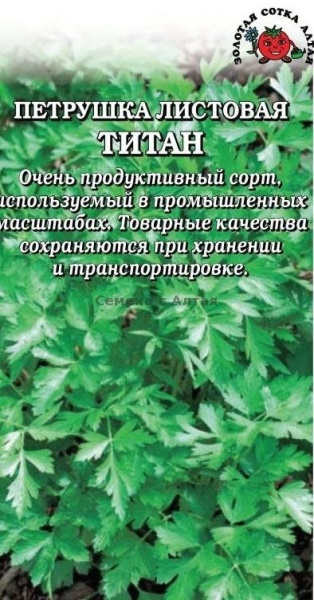 Петрушка листовая Титан /Сотка/0,5 г/*1200