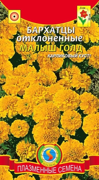 Бархатцы отклоненные Малыш Голд