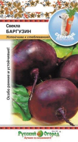 Свекла Баргузин (3г) НК