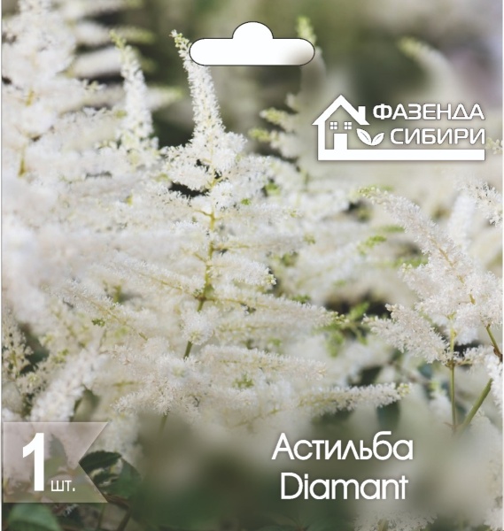 Астильба Диамант/Diamant (1шт) Фазенда Сибири