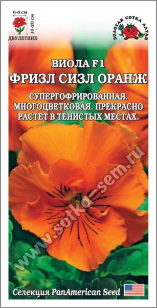 Виола Фризл Сизл Оранж /Сотка/ 5шт/ h-20см, d-8см/*500