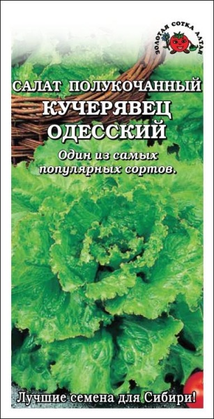 Салат Кучерявец Одесский /Сотка/ 0,5г/ среднесп. полукочан. 190-200г/*1500