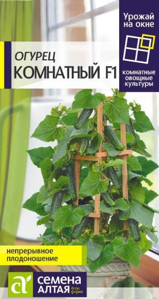 Огурец Комнатный/Сем Алт/цп 5 шт. УРОЖАЙ НА ОКНЕ!