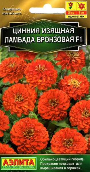 Цинния Ламбада бронзовая /Аэлита/ 0,2г/ изящ. h-25см, d-8см