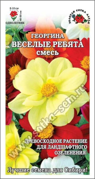 Георгина Веселые ребята смесь /Сотка/ 0,2г/ h-40-50см d-8-10см/*1000