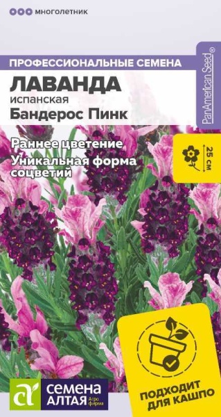 Цветы Лаванда Бандерос Пинк испанская/Сем Алт/цп 5 шт. многолетник НОВИНКА (2027 / 487)