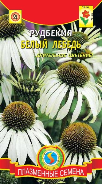 Рудбекия Белый лебедь / Плазмас/