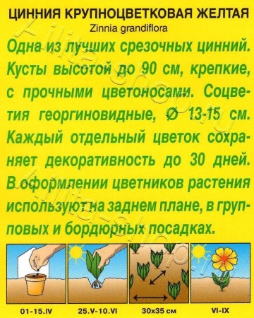  Цинния крупноцветковая желтая 0,3гр (Аэлита) фото в интернет-магазине Фермер