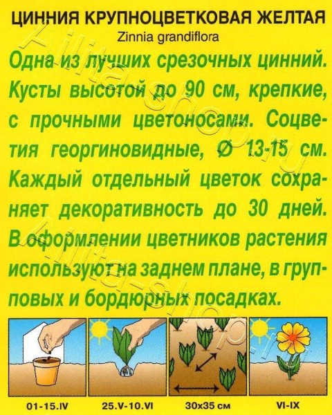 Цинния крупноцветковая желтая 0,3гр (Аэлита)
