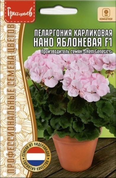 Пеларгония Нано Яблоневая карликовая F1 3шт (Ред.Сем)