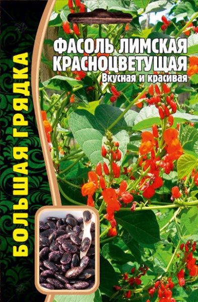 Фасоль Лимская Красноцветущая вьющаяся Большая грядка 5гр (Ред.Сем)
