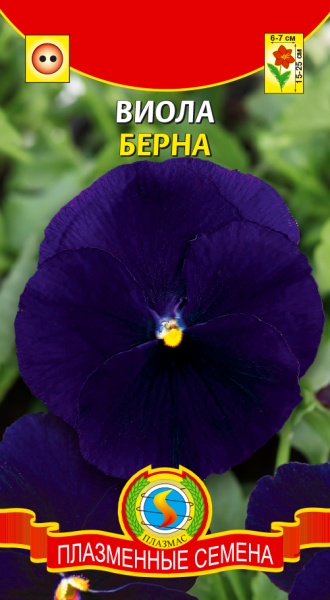 Виола Берна