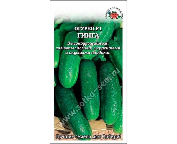 Огурец Гинга F1 /Сотка/ 0,3г/сам.рн.8-10см/*1200