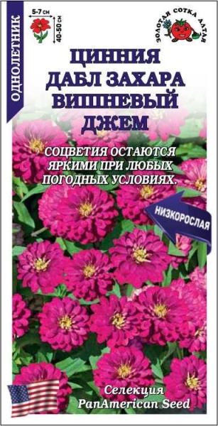 Цинния Дабл Захара Вишневый Джем  /Сотка/ 5 шт/*2000