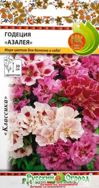 Годеция Азалея /Сотка/ 0,2г/ смесь h-40см, d-5см/*1500