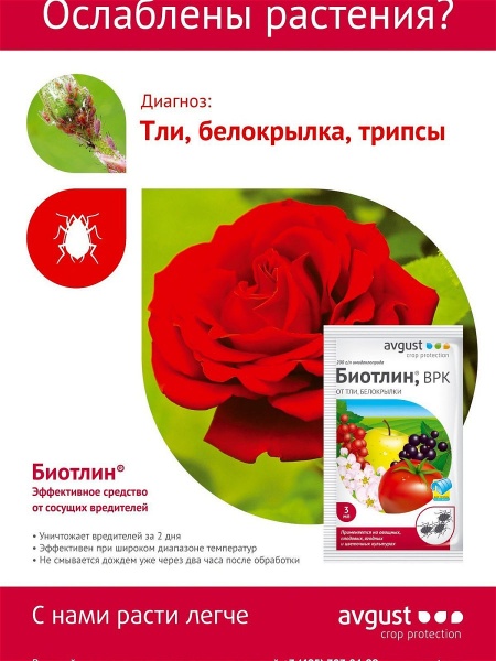 Биотлин (3мл) Август/200