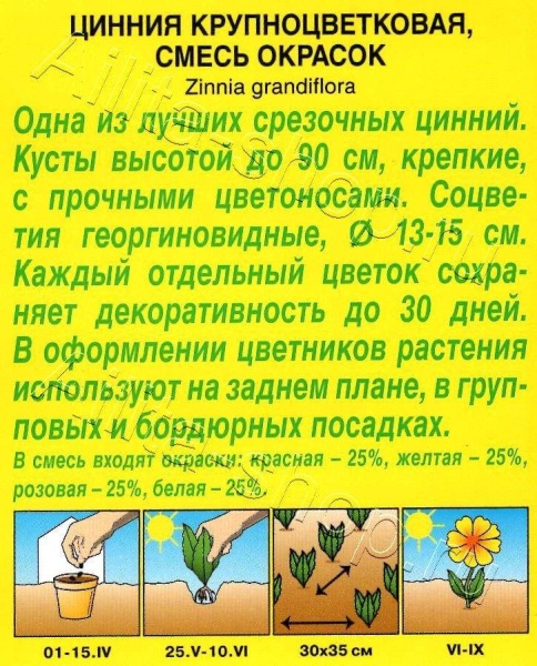 Цинния Крупноцветковая смесь /Аэлита/ 0,5г/ h-90см d-15см