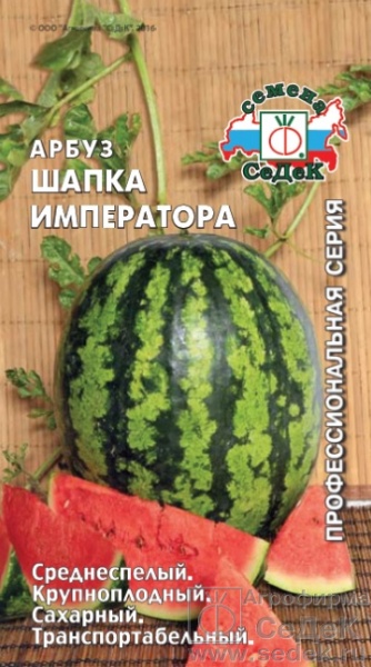 Арбуз Шапка Императора /Седек/ 1г/ среднесп. до 10кг