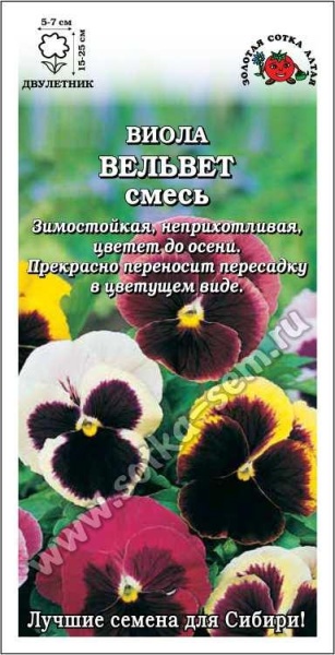Виола Вельвет /Сотка/ 0,1г/ смесь h-25см, d-7см