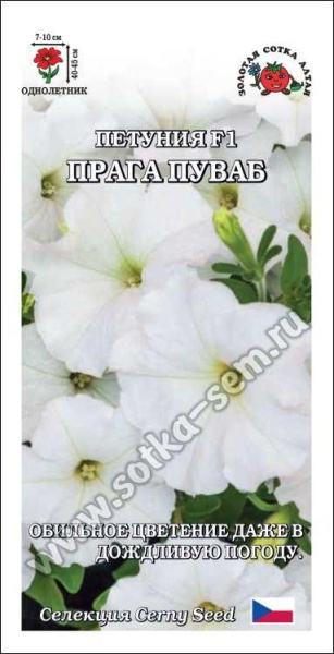 Петуния Прага Пуваб F1 /Сотка/ 10шт/ бел. h-45см d-10см/*350