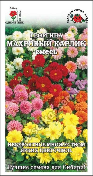 Георгина Махровый карлик смесь /Сотка/ 0,2г/ h-25-30см d-5-6см/*1100