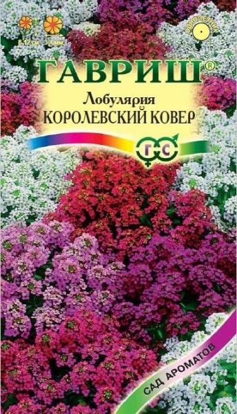 Лобулярия Королевский ковер /Гавриш/