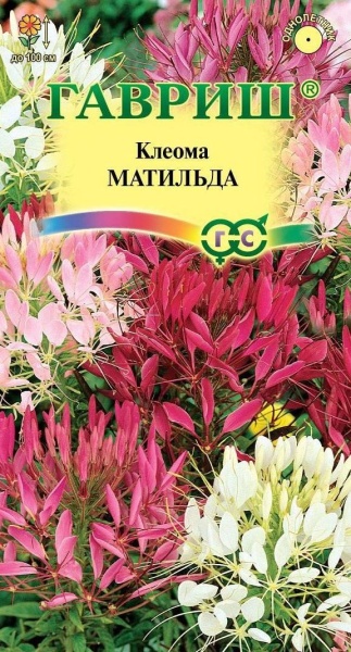 Клеома Матильда колючая /Гавриш/0,3гр