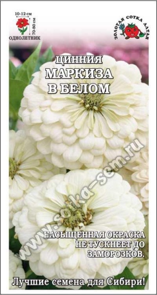 Цинния Маркиза в Белом /Сотка/ 0,2г/ h-90см, d-15см/*1000