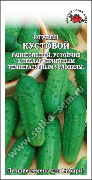 Огурец Кустовой /Сотка/ 0,5г/ раннесп. 9-12см/*1200