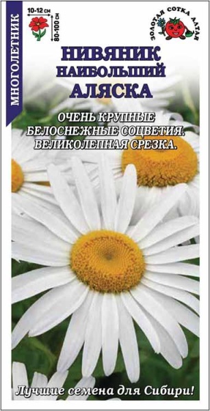 Нивяник Аляска /Сотка/ 0,2 г/ h-80-100см d-10-12см /*1500