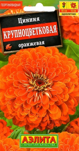 Цинния крупноцветковая оранжевая 0,3гр (Аэлита)