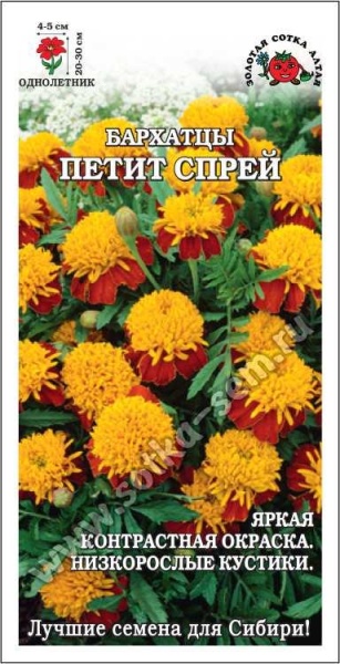 Бархатцы Петит Оранж /Сотка/ 0,2г/ *1200 / откл. h-20-30см d-4-5см